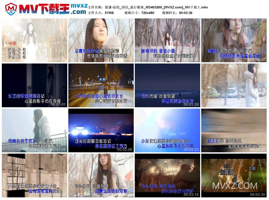 殷谦-彷徨_国语_流行歌曲_MD403269